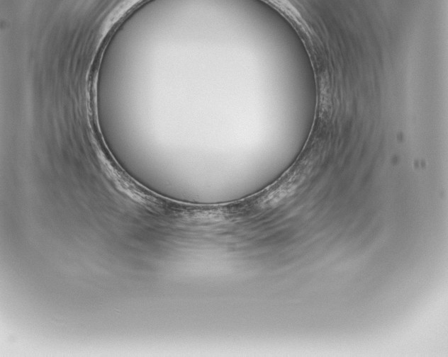 X0000060271047200511112042