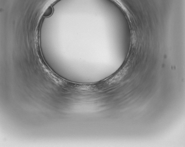 X0000060271048200511112042