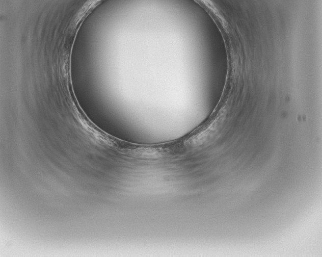 X0000060271049200511112042