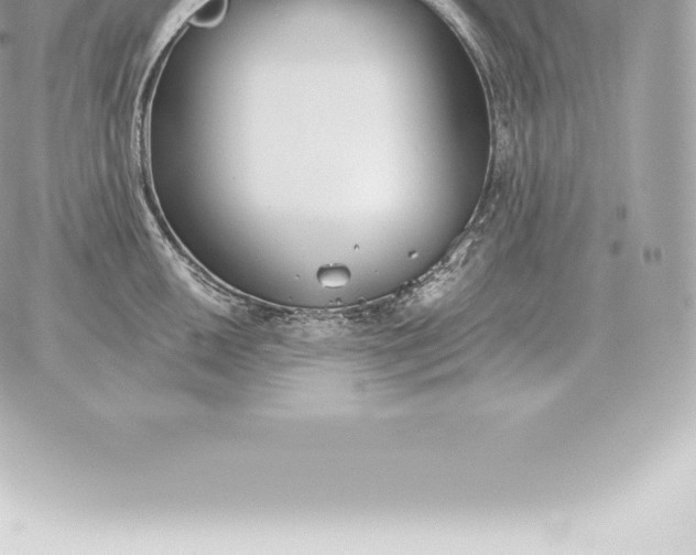 X0000060271050200511112042