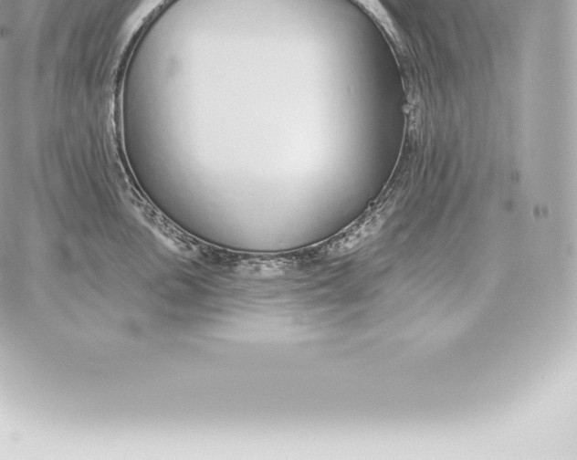 X0000060271051200511112042