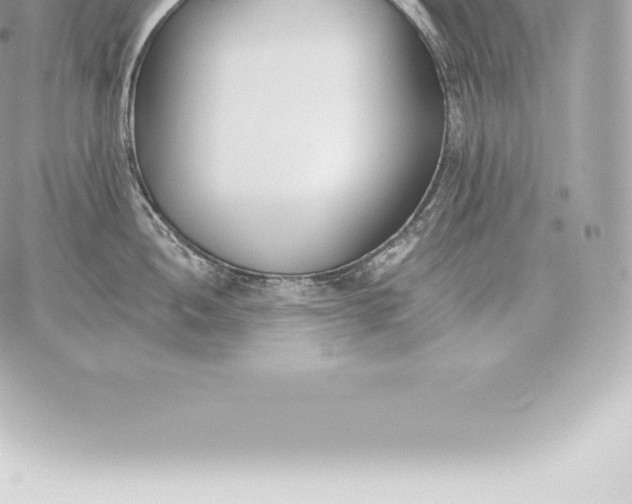 X0000060271052200511112042