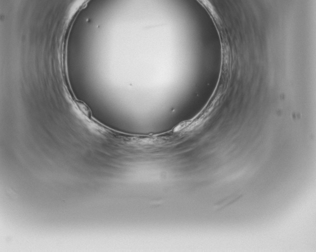 X0000060271054200511112042