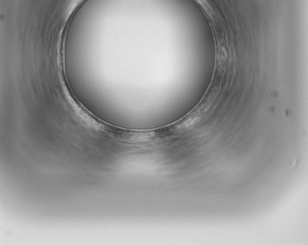 X0000060271055200511112042