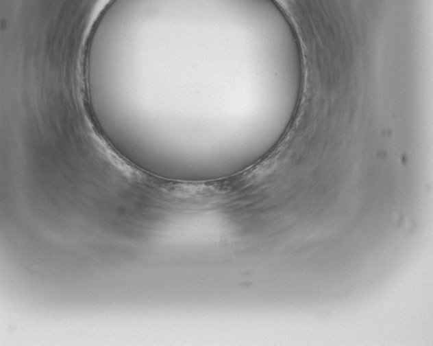 X0000060271056200511112042