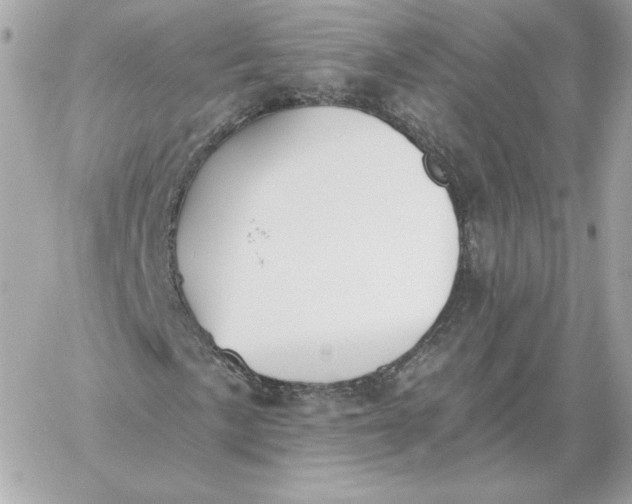 X0000060271057200511112041