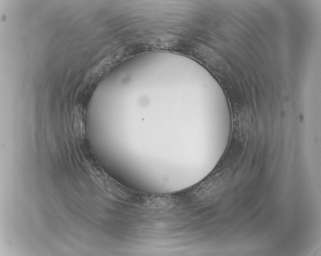 X0000060271058200511112041