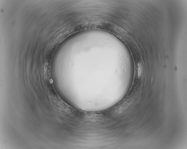 X0000060271059200511112041