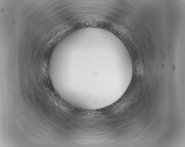 X0000060271060200511112041