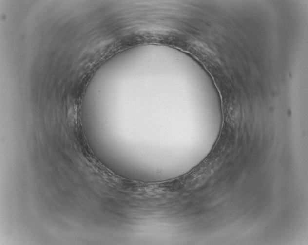 X0000060271061200511112041