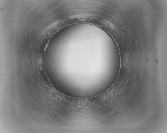 X0000060271062200511112041