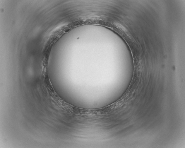 X0000060271063200511112041