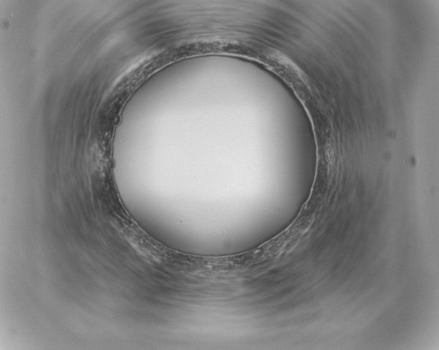 X0000060271064200511112041