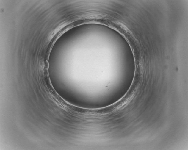 X0000060271065200511112041