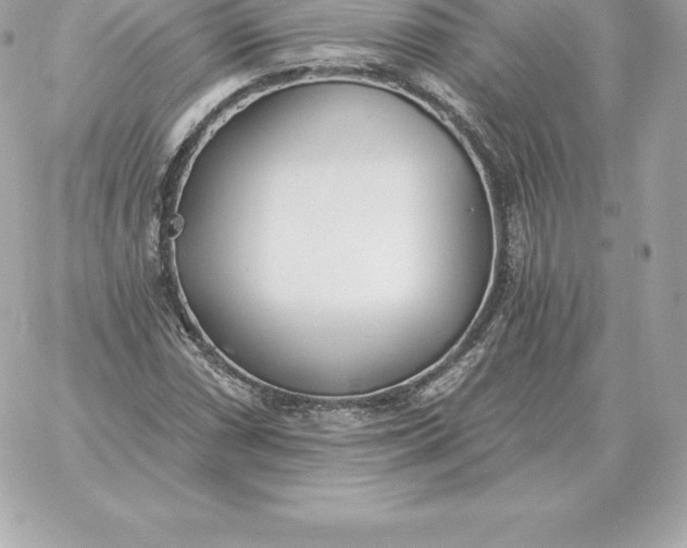 X0000060271066200511112041