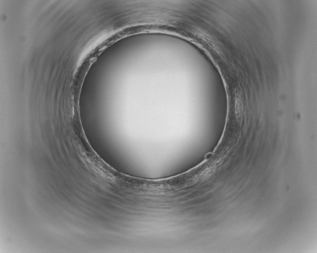 X0000060271069200511112041