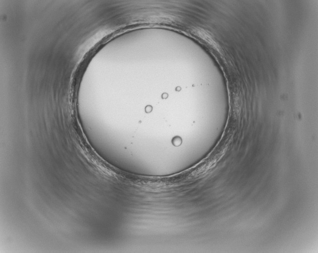 X0000060271071200511112041