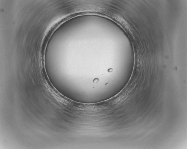 X0000060271072200511112041