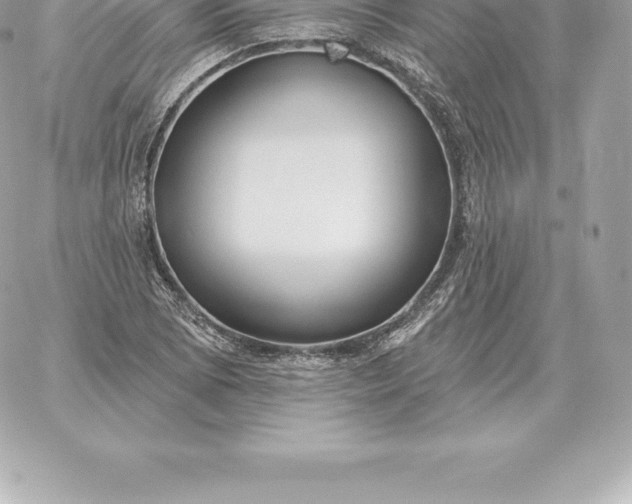 X0000060271073200511112041