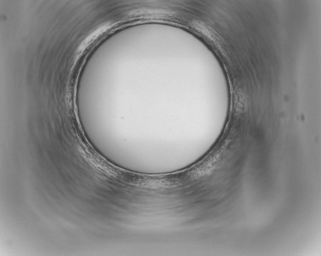 X0000060271074200511112041