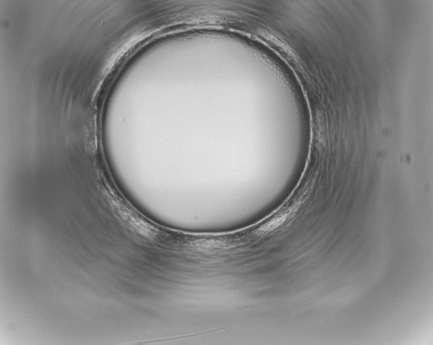 X0000060271075200511112041