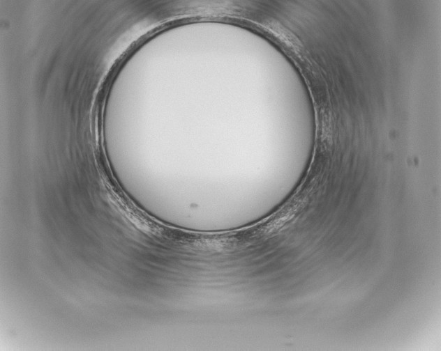 X0000060271078200511112041