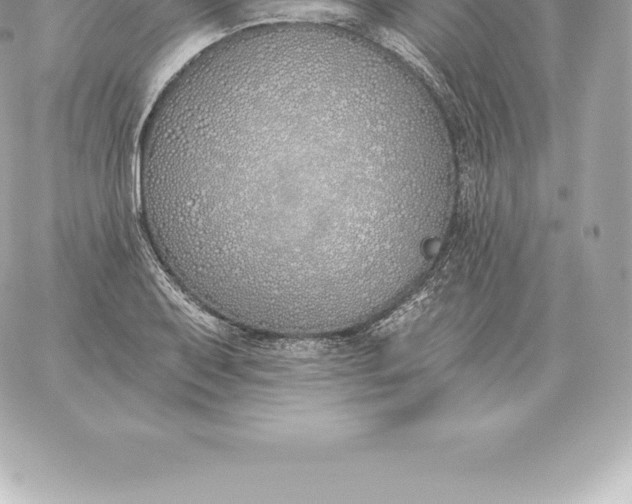 X0000060271079200511112041