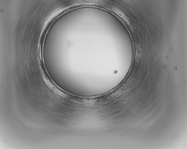 X0000060271080200511112041