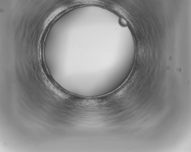 X0000060271082200511112041