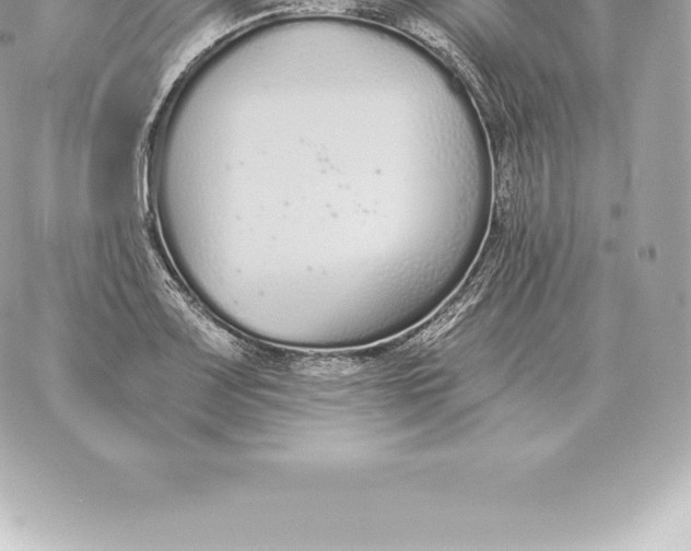 X0000060271083200511112041