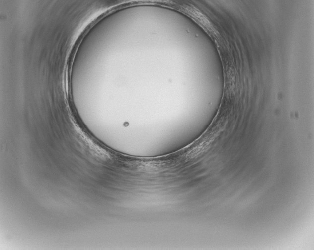 X0000060271084200511112041