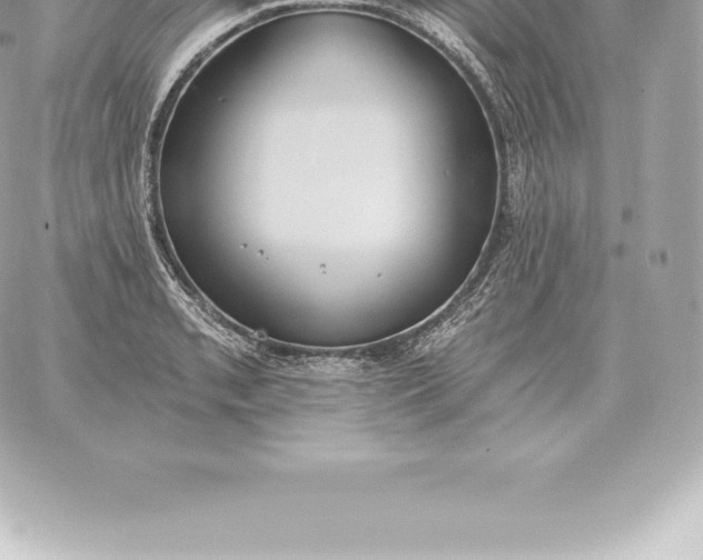 X0000060271085200511112041