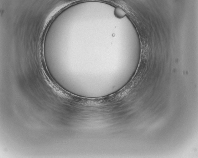 X0000060271086200511112041