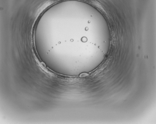 X0000060271087200511112041