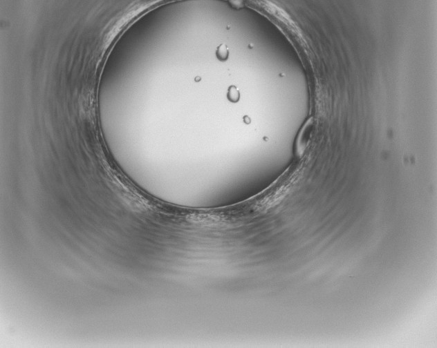 X0000060271089200511112041