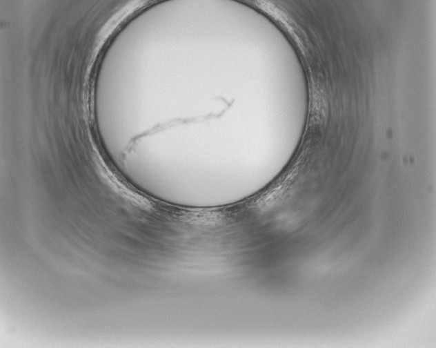 X0000060271090200511112041