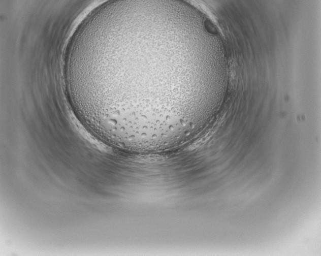 X0000060271091200511112041