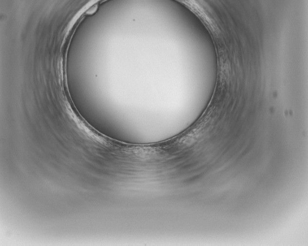 X0000060271092200511112041