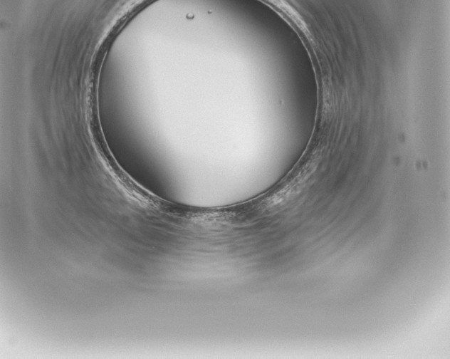 X0000060271093200511112041