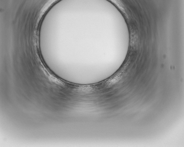 X0000060271094200511112041