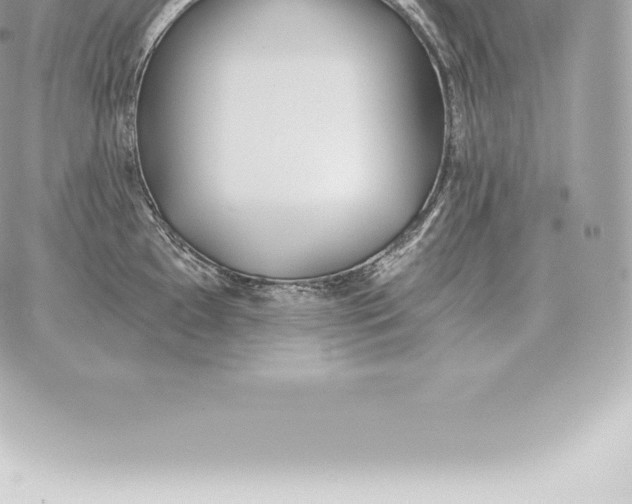 X0000060271097200511112041