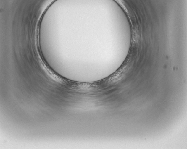 X0000060271098200511112041