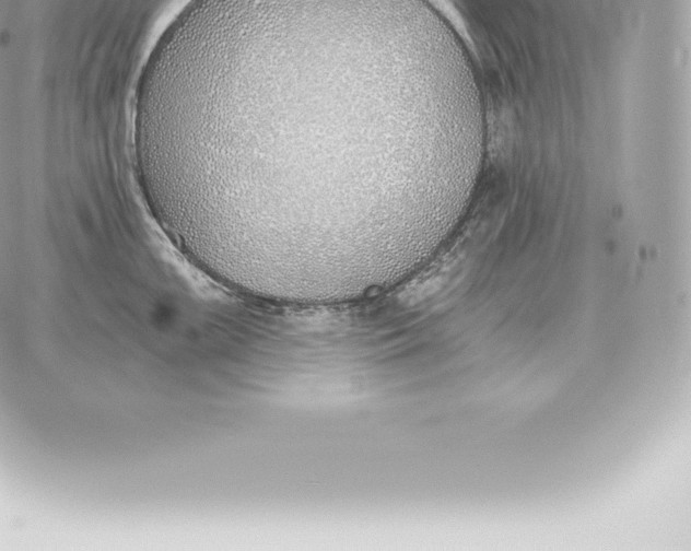 X0000060271099200511112040