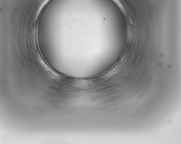 X0000060271100200511112040