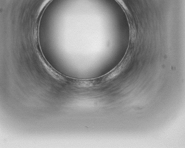 X0000060271101200511112040