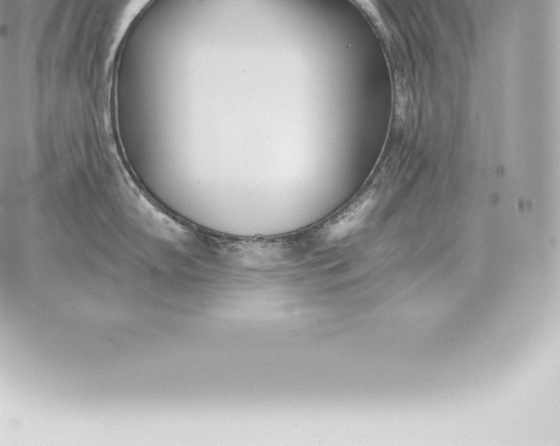 X0000060271102200511112040