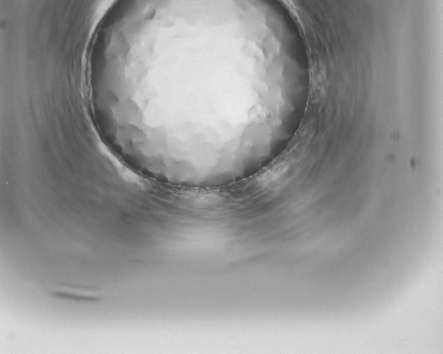 X0000060271103200511112040