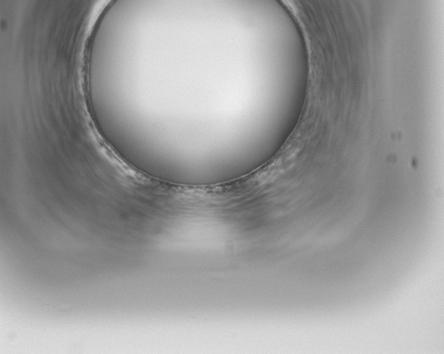 X0000060271104200511112040