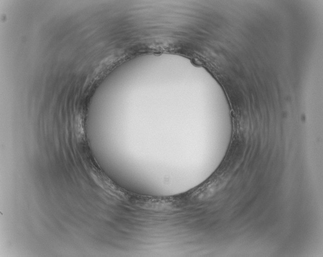 X0000060271106200511112040