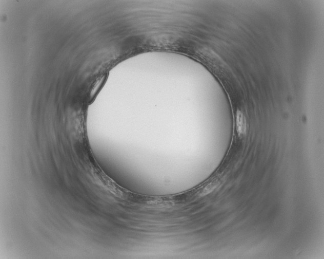 X0000060271107200511112040